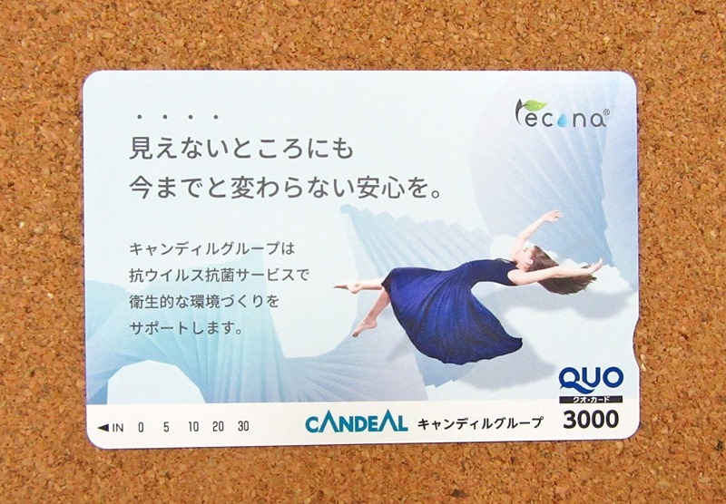 キャンディルのQUOカード（2020年9月権利）